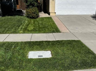 Lorne C.'s Lawn Mowing service result