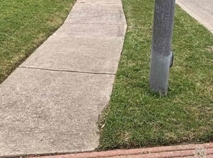 Bush Trimming by DD Services for Justine C. in Grand Prairie, TX