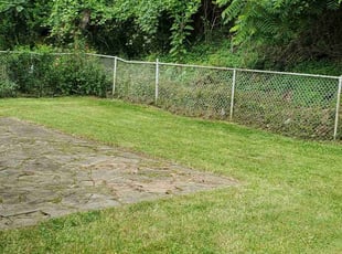 Dave M.'s Yard Cutting service result