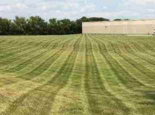Catina S.'s Lawn Care service result