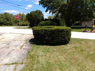 Bush Trimming by Shawn Jackson for Tim W. in Orland Park, IL