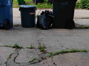 Leaf Removal by Anthony Cady for Shantal P. in Minneapolis, MN