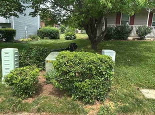 Chrystine A.'s Bush Trimming service result