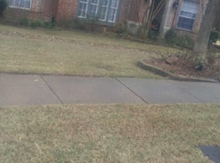 Leaf Removal by Jody McCluksey for Stephanie B. in McKinney, TX