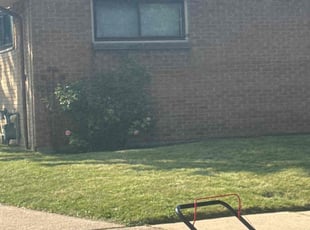 Felisa J.'s Lawn Mowing Service service result