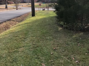 Leaf Removal by Aaron Kinchen for Matt B. in Richmond, VA