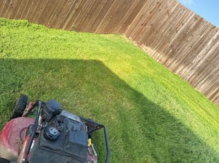 Richard A.'s Cleanups service result