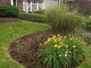 Cleanups by Elisha Nelson for LORI A. in Columbus, OH