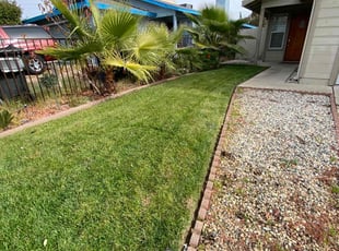 Jacqueline P.'s Lawn Service service result