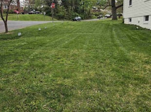 Brenda H.'s Lawn Mowing service result
