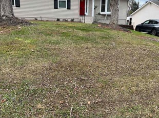 Leaf Removal by Kirk Brawley for Brian G. in Mint Hill, NC