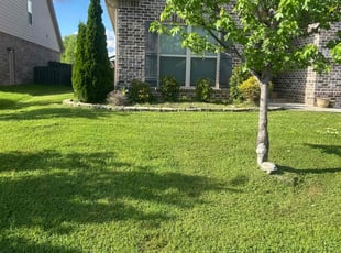 Andres V.'s Lawn Service service result