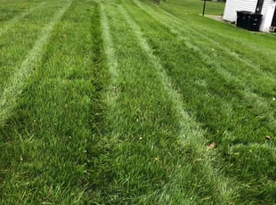 Margaret W.'s Lawn Service service result