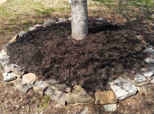 Weeding by Reagon Wilson for Monica N. in Olive Branch, MS