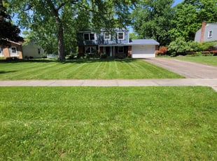 Dave W.'s Lawn Service service result