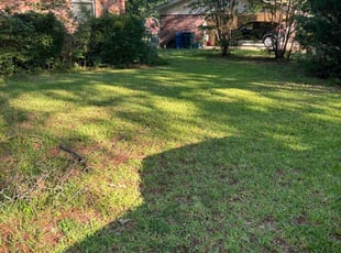 Dallas B.'s Yard Cutting service result