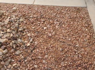 Weeding by Lamont Johnson for Robert C. in Henderson, NV