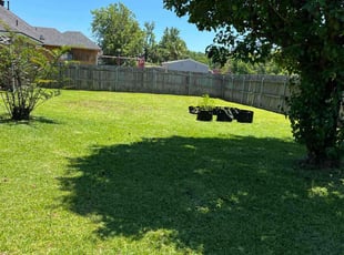 Jim H.'s Lawn Mowing service result