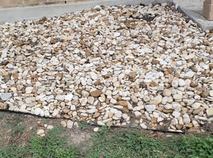 Weeding by Juliana Ledezma for Leslie C. in Hutto, TX