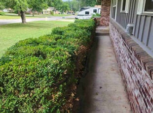 Bush Trimming by Howard Jennings for Spencer W. in Rogers, AR