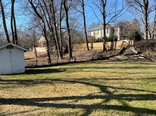 Leaf Removal by Carlos Portillo for Noura A. in Falls Church, VA