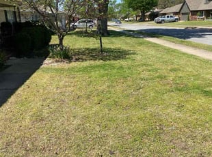 Leaf Removal by Joey Handley for Pamela S. in Tulsa, OK