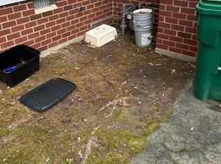 Leaf Removal by Joe Lee Jr for Phyllis D. in Glen Allen, VA