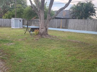 Leaf Removal by Darian Maya for Lorraine R. in Rockledge, FL