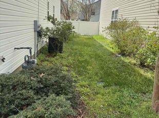 Bush Trimming by Andres Ruiz for Jasmine C. in Virginia Beach, VA