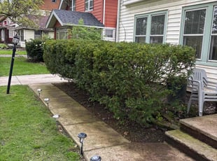 Bush Trimming by Seantrell Lawson for Lance H. in Cleveland, OH