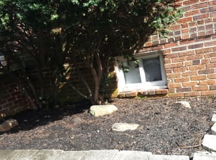 Weeding by Herbert Brown for Cicely M. in Washington, DC