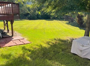 Sandra I.'s Yard Cutting service result