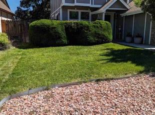 Bush Trimming by Johnny Hines for Joyce S. in Aurora, CO