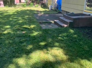 Victoria T.'s Leaf Removal service result