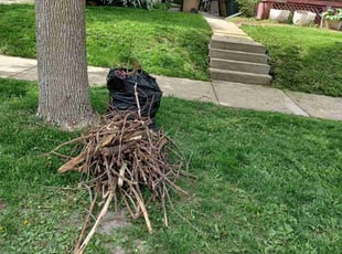 Cleanups by Kevin Rhyne for Maddy M. in Madison, WI