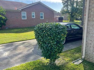 Bush Trimming by Bryan Oren for Michael F. in Chesapeake, VA
