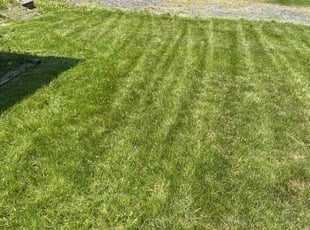 Mark T.'s Lawn Mowing Service service result