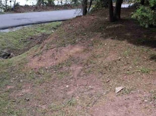 Cleanups by Joel Caldwell for Curran L. in Cumming, GA
