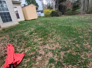 Leaf Removal by Manny Chavez for Russell A. in Alexandria, VA