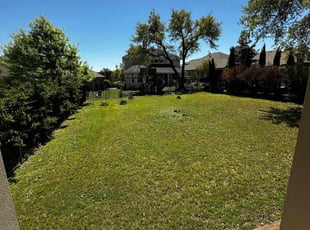 Diadra H.'s Lawn Mowing service result