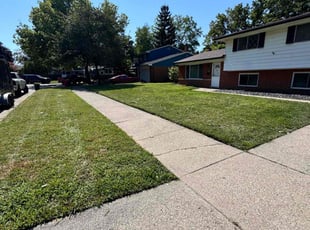 Erika S.'s Lawn Service service result