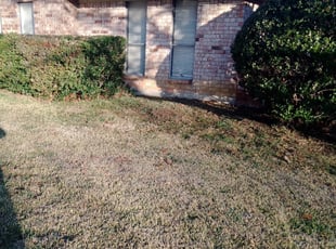 Cleanups by Severa Rosie Lara for amy b. in Grand Prairie, TX