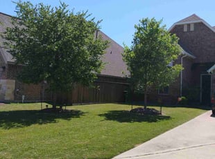 Joel R.'s Lawn Mowing Service service result