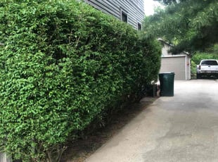 Bush Trimming by Kareem Bonner for Doug K. in Cincinnati, OH