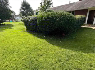 Bush Trimming by Fidel Rodriguez for Michelle G. in Springfield, VA