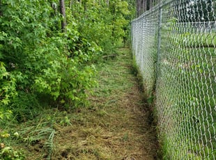 Bush Trimming by Nicholous Johnson for Deb F. in franklinton, nc