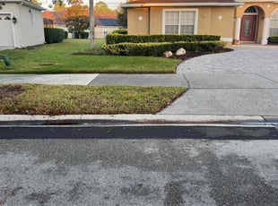 David R.'s Lawn Mowing service result