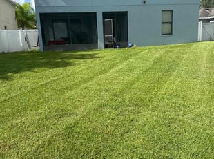Bryan E.'s Lawn Mowing service result