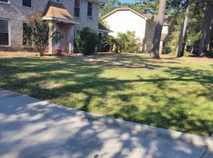 Nan C.'s Grass Cutting service result
