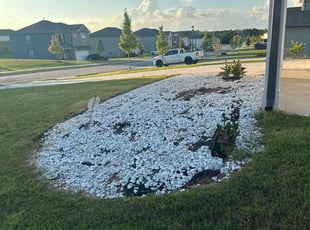 Susan W.'s Flower Bed Weeding service result